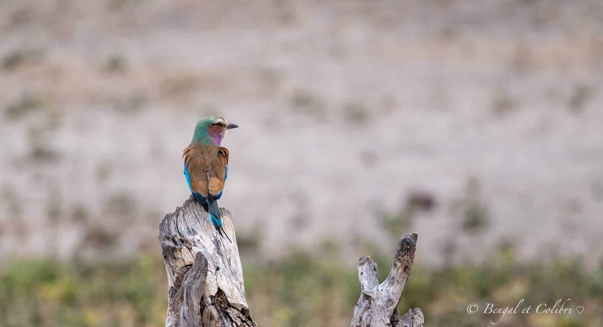 Botswana