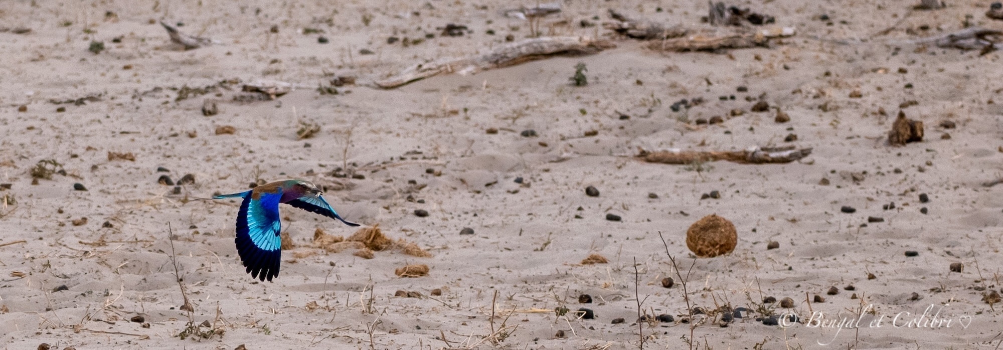Botswana