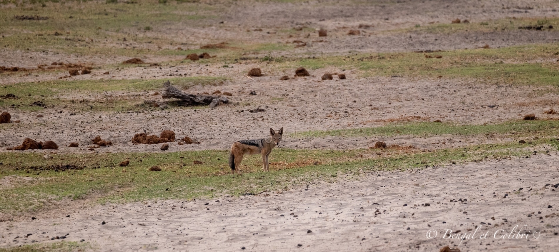 Botswana