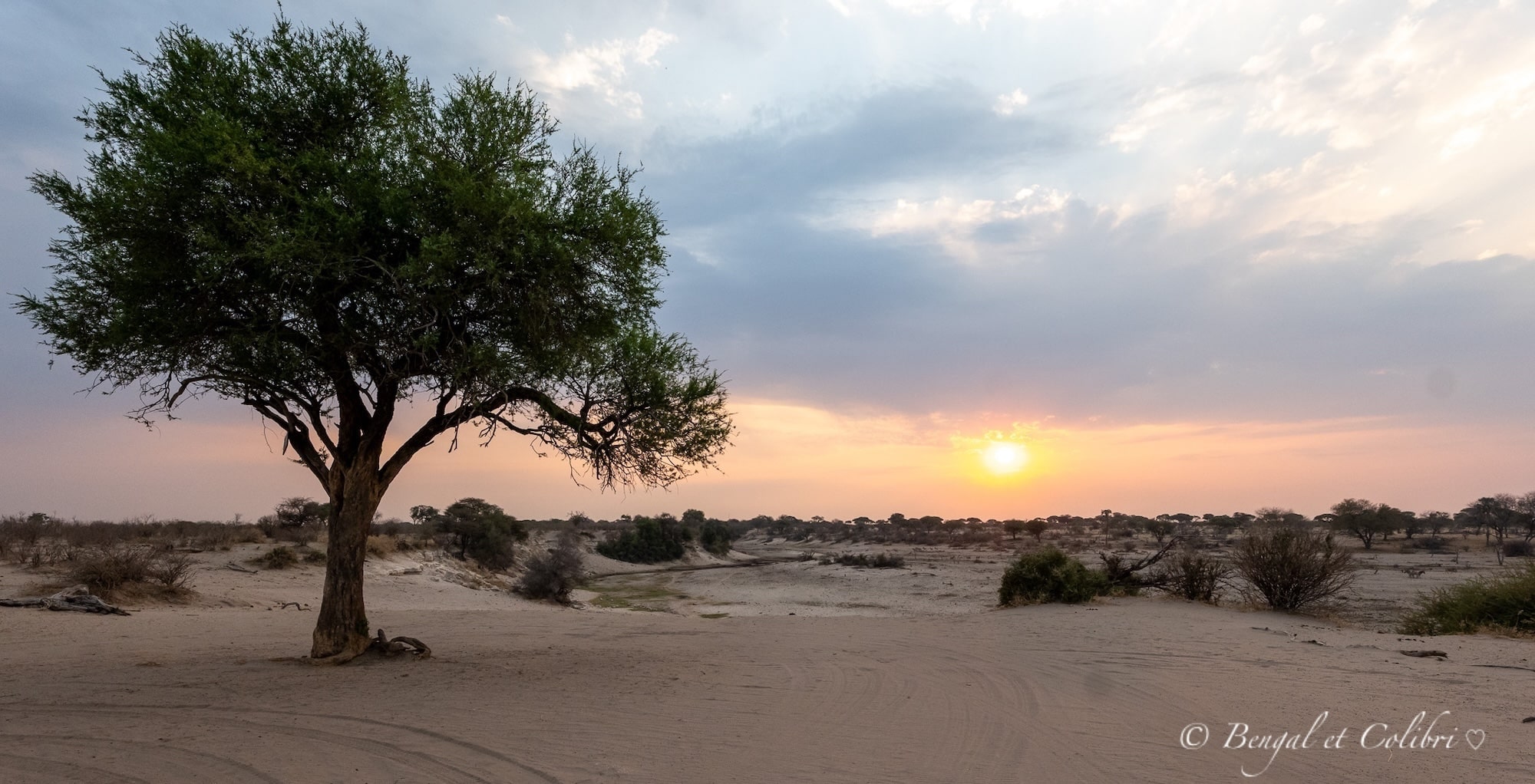 Botswana