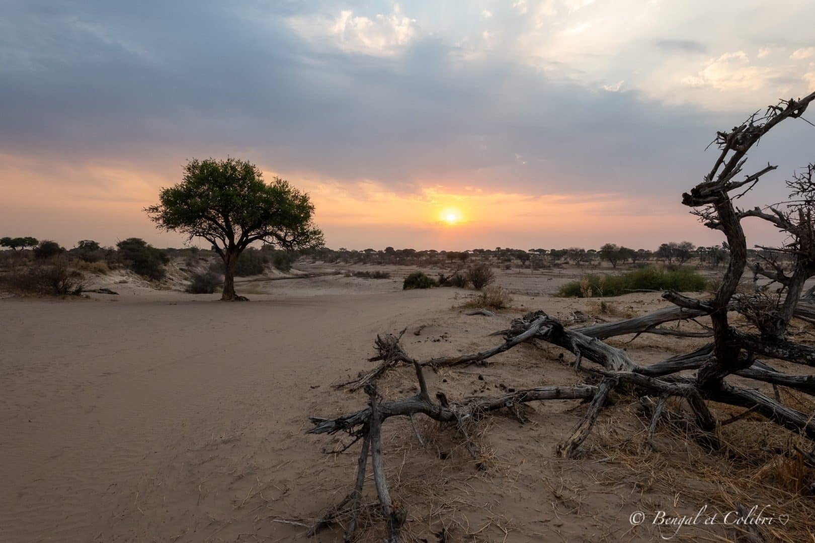 Botswana