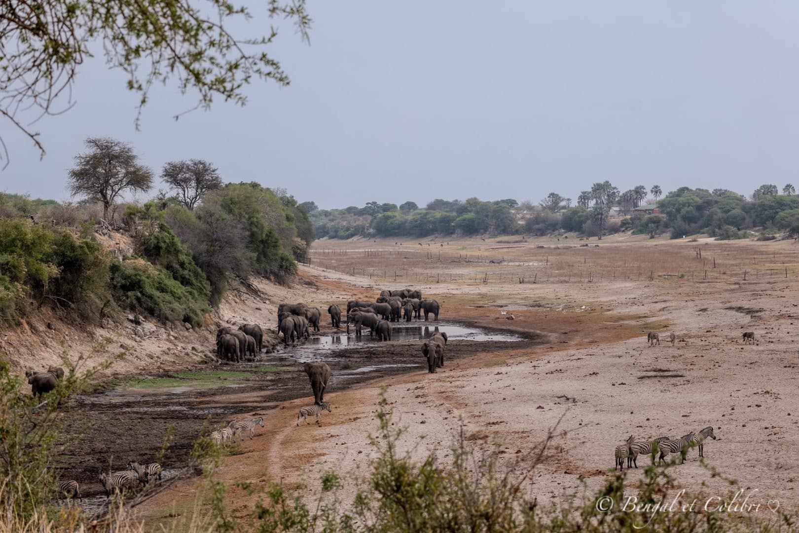 Botswana