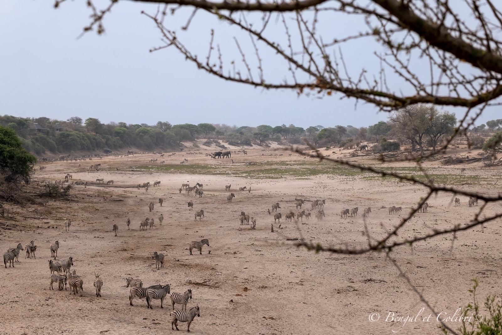 Botswana