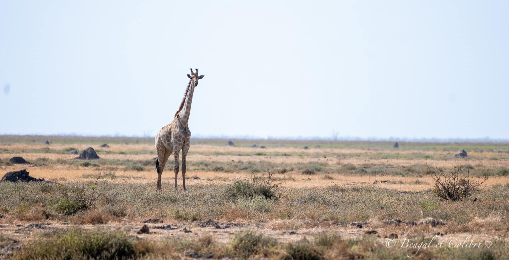 Botswana