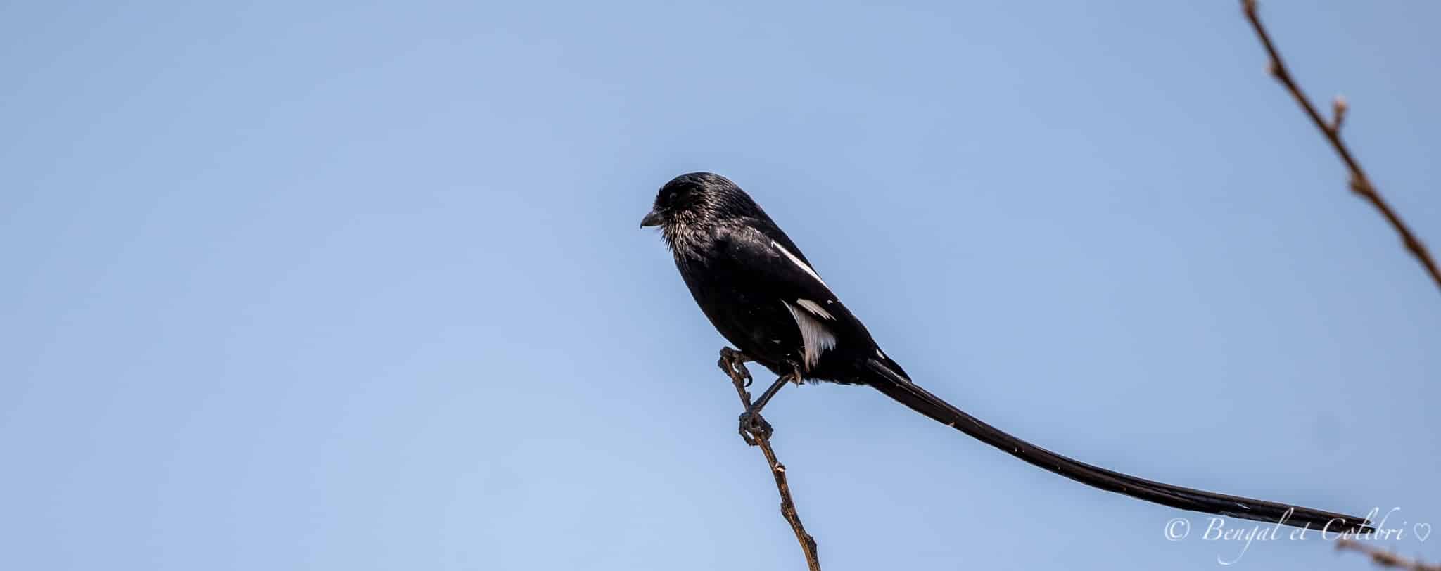 Botswana