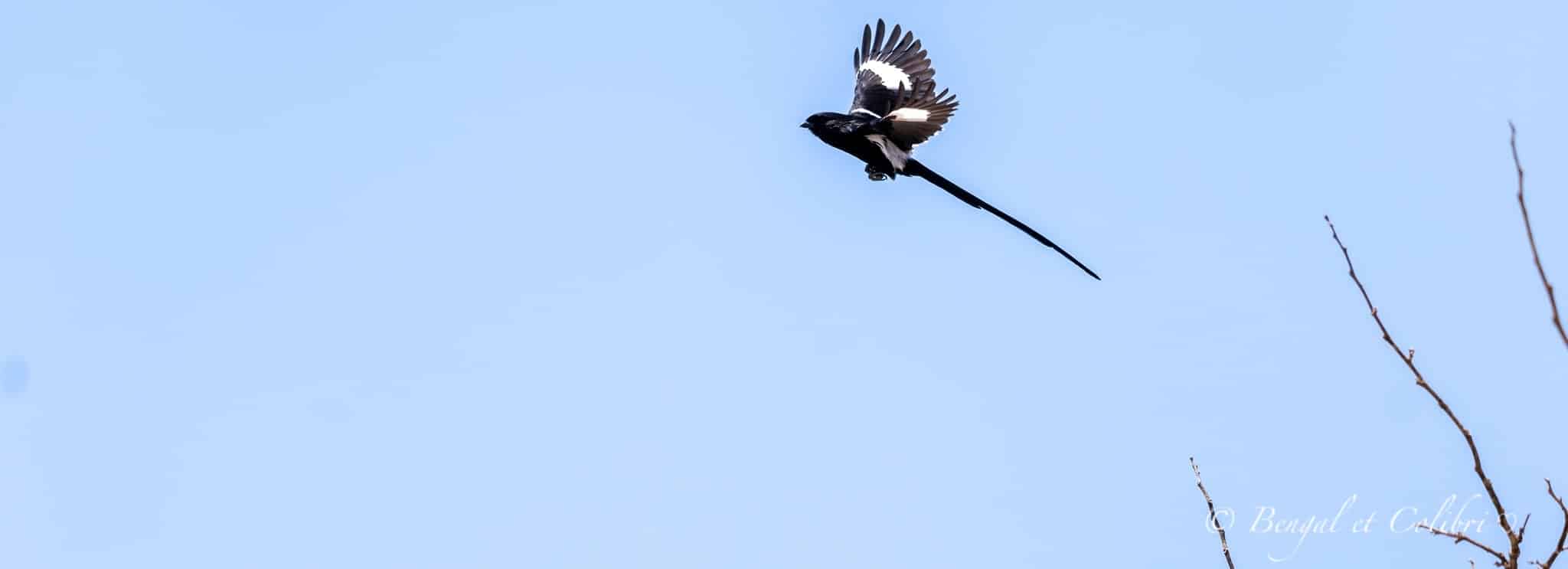 Botswana