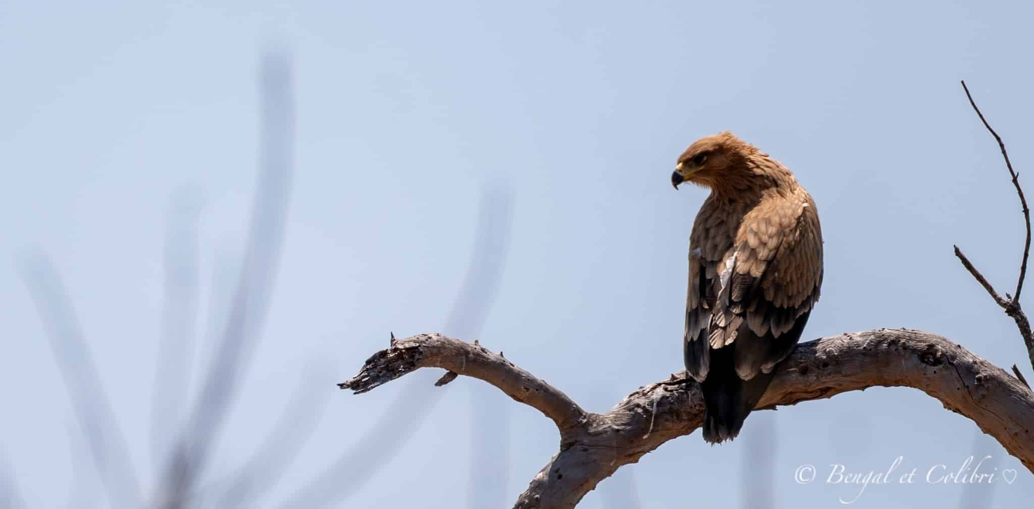 Botswana