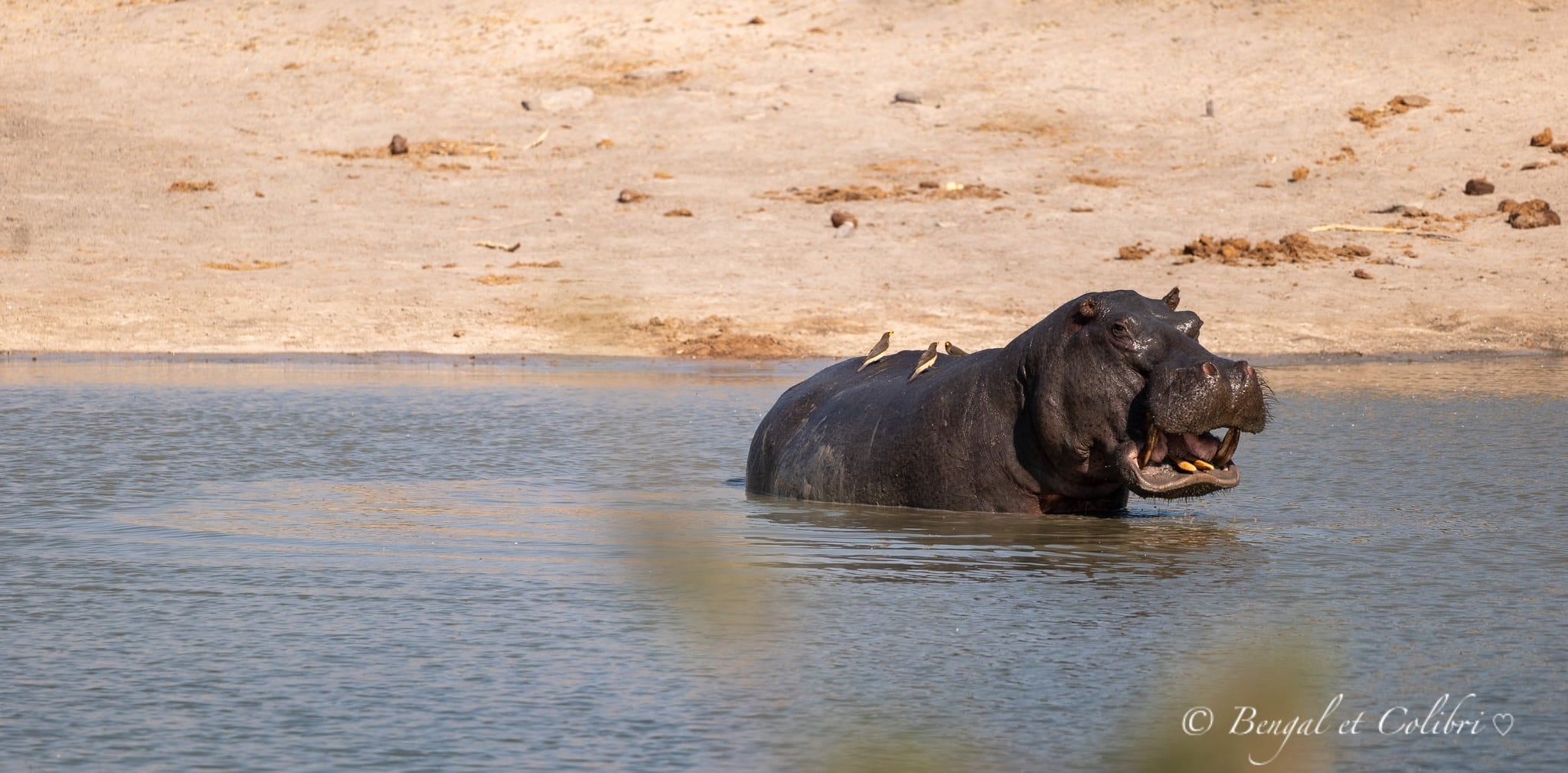 Botswana