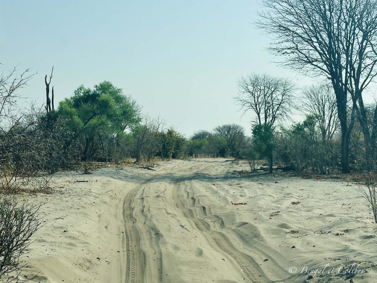 Botswana