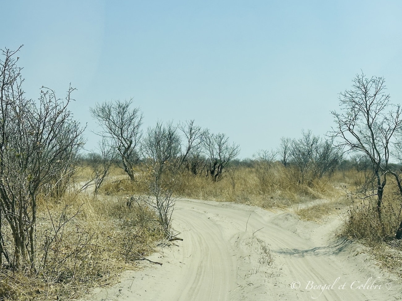 Botswana