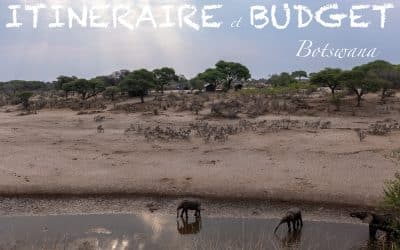 15 jours au Botswana : itinéraire, où dormir, et quel budget
