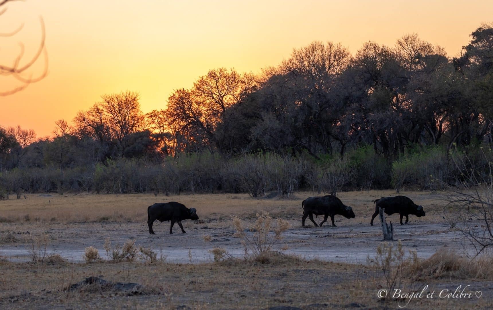 Botswana