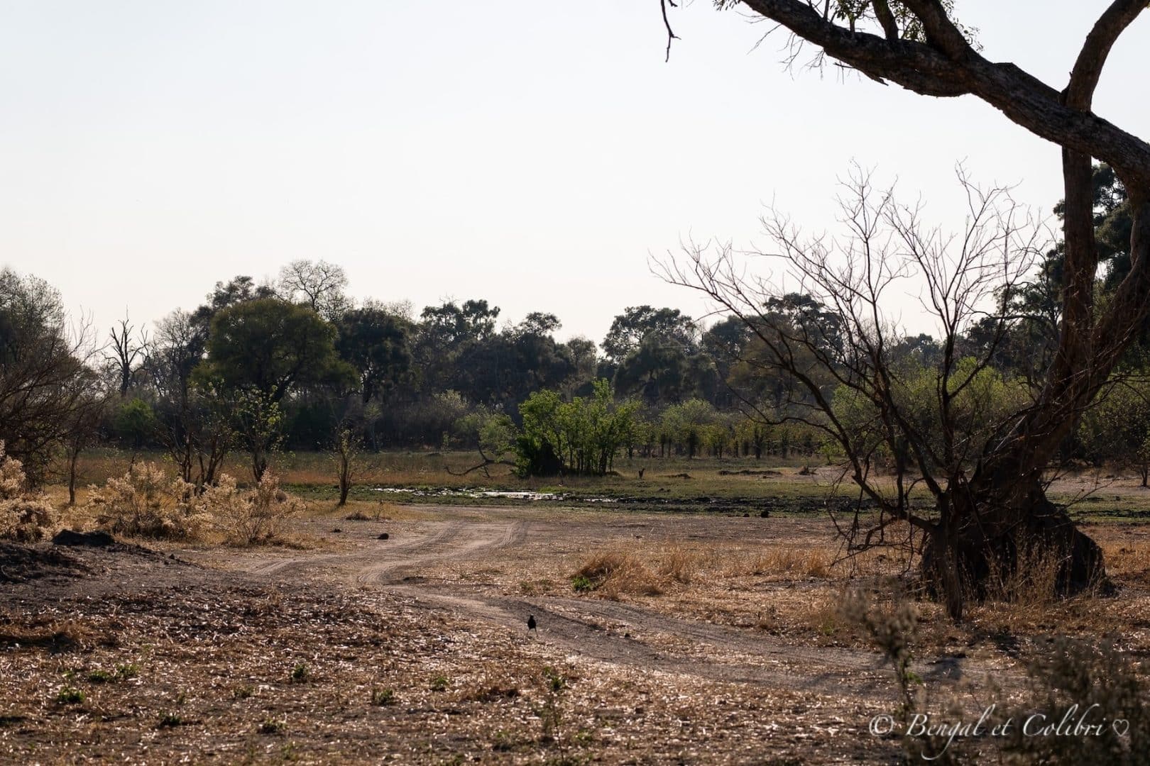 Botswana