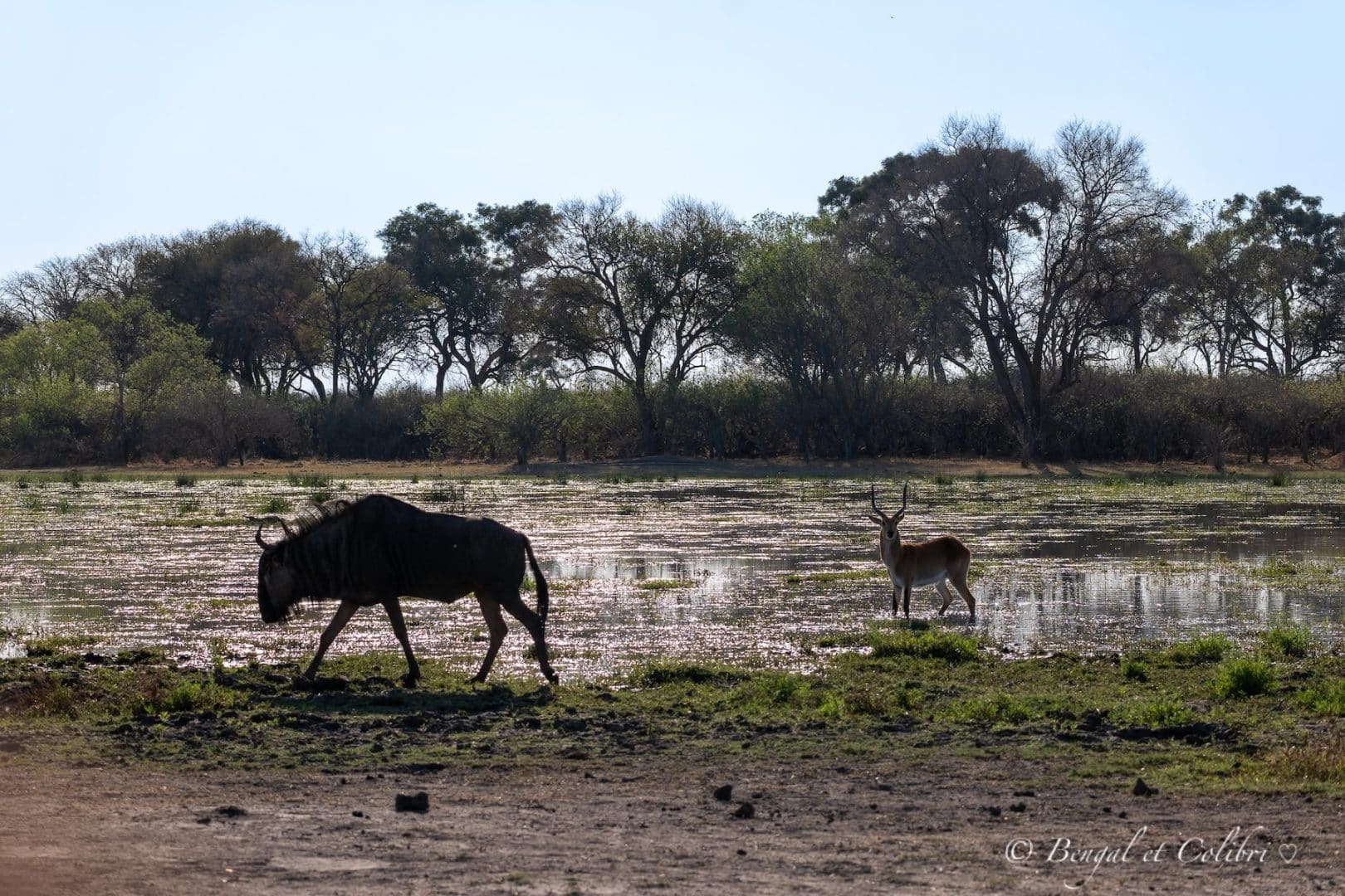 Botswana