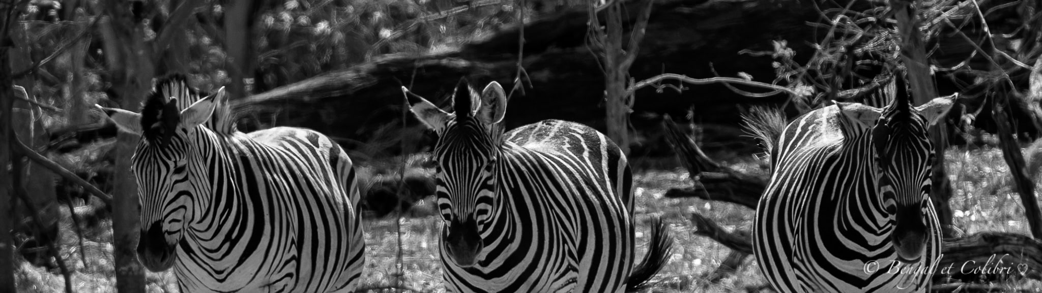 Botswana