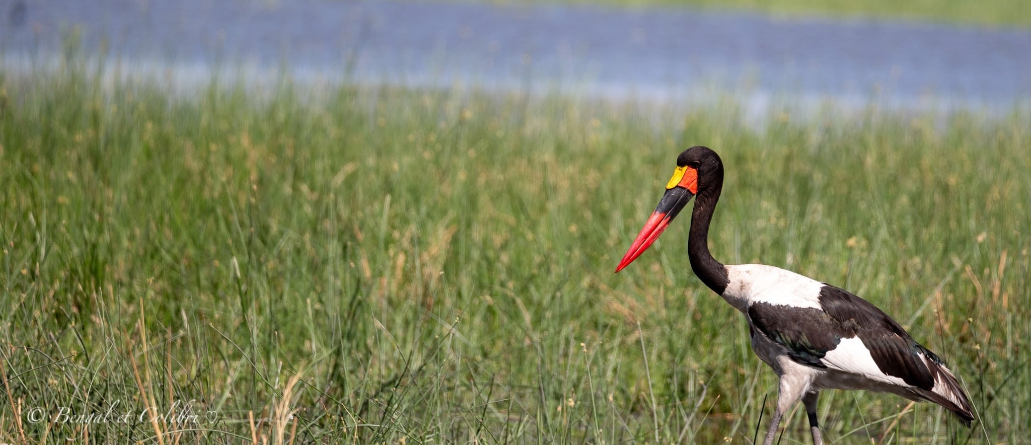 Botswana