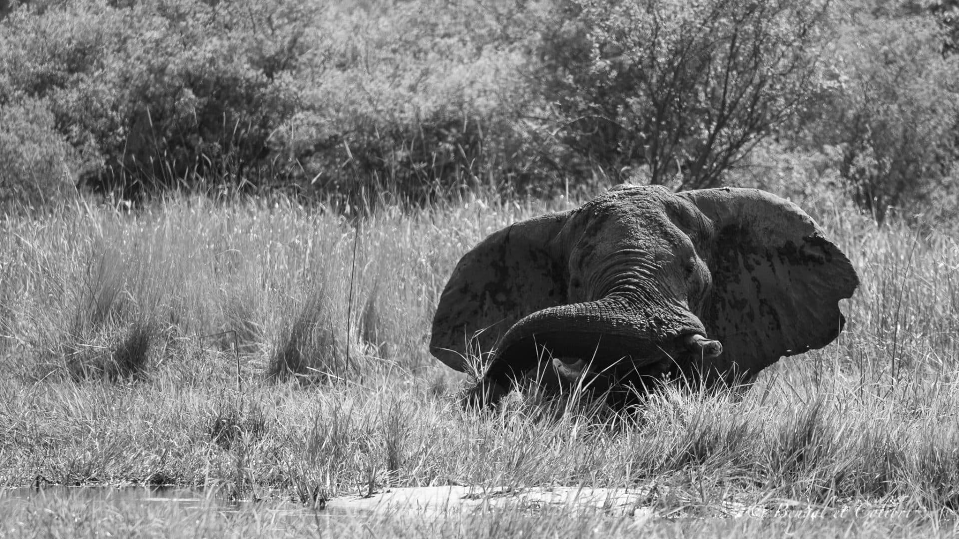 Botswana