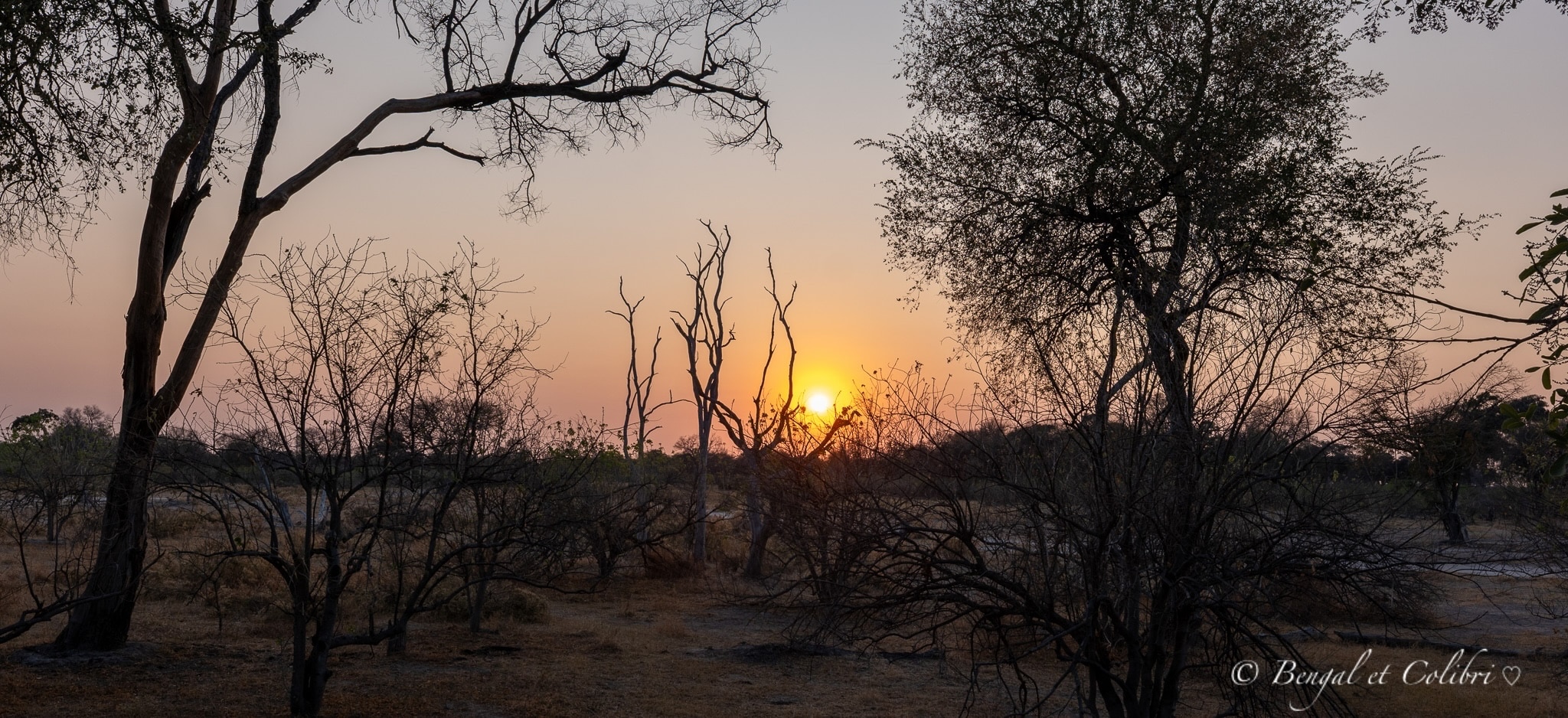 Botswana