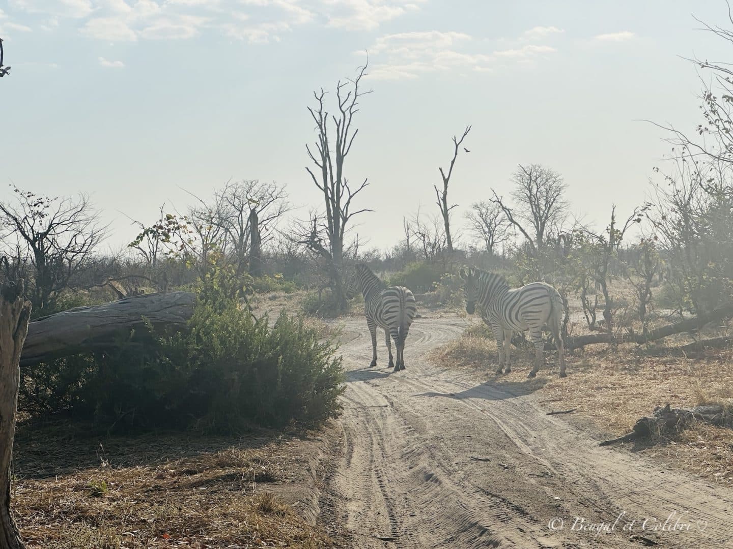 Botswana