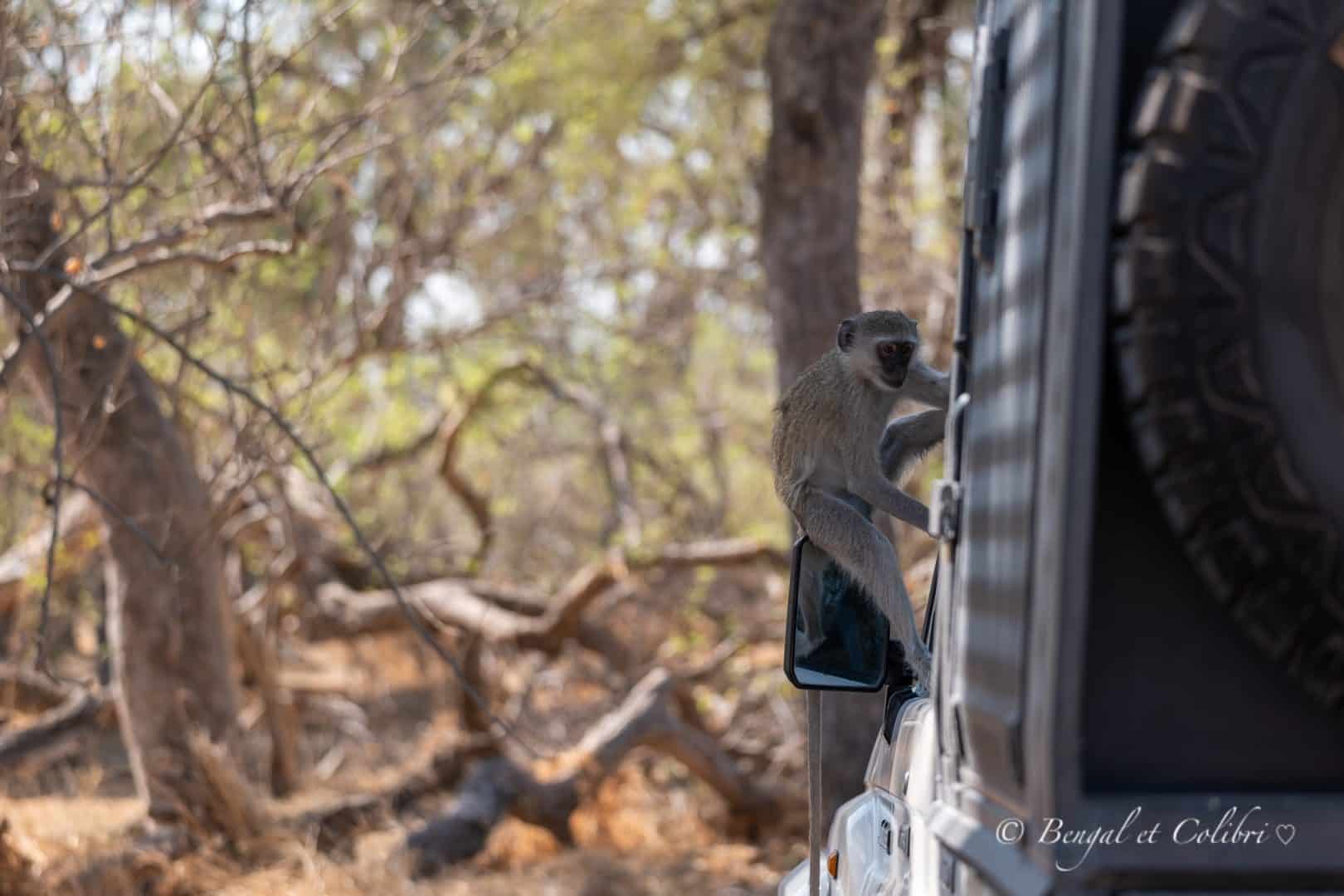 Botswana