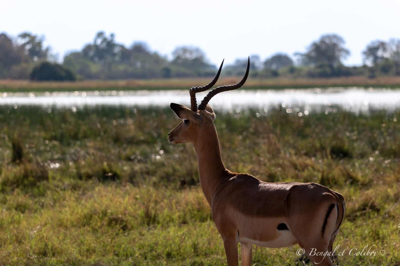 Botswana