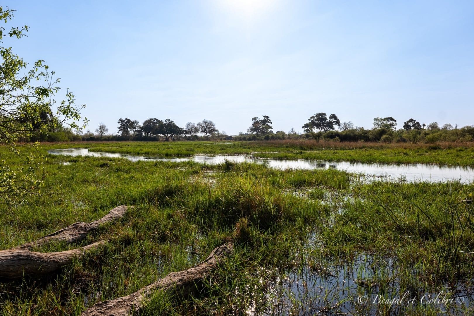 Botswana