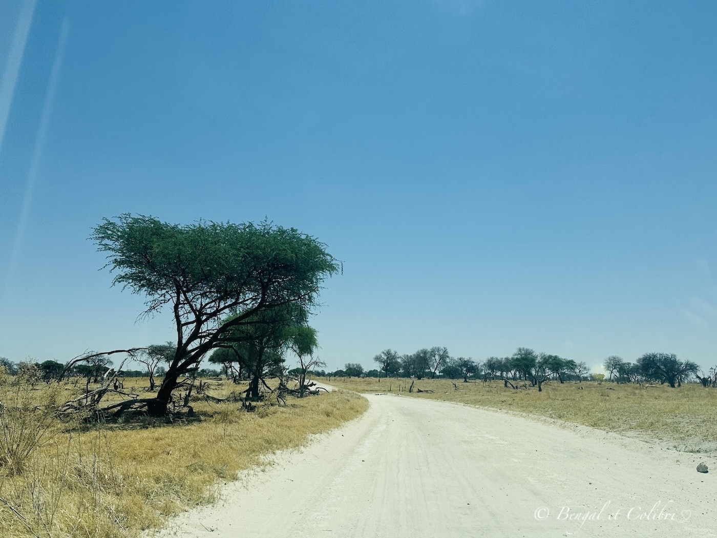 Botswana