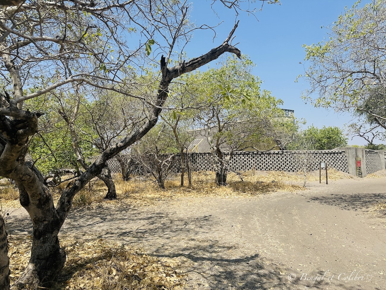 Botswana