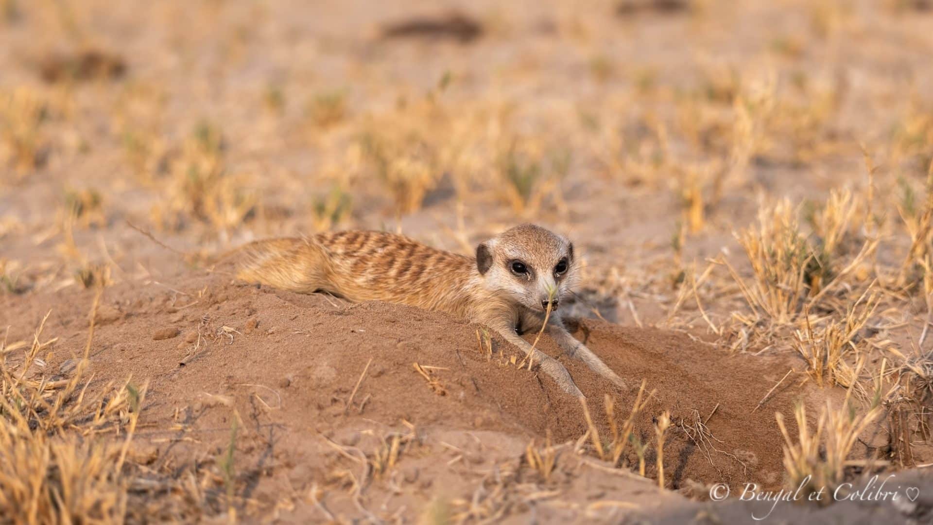 Botswana