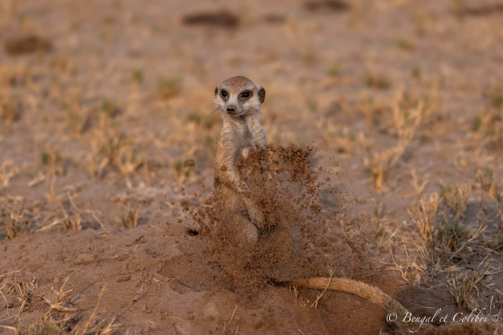 Botswana