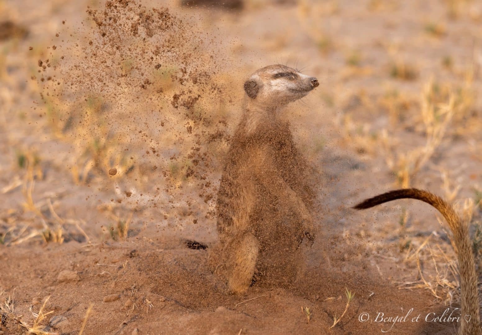 Botswana