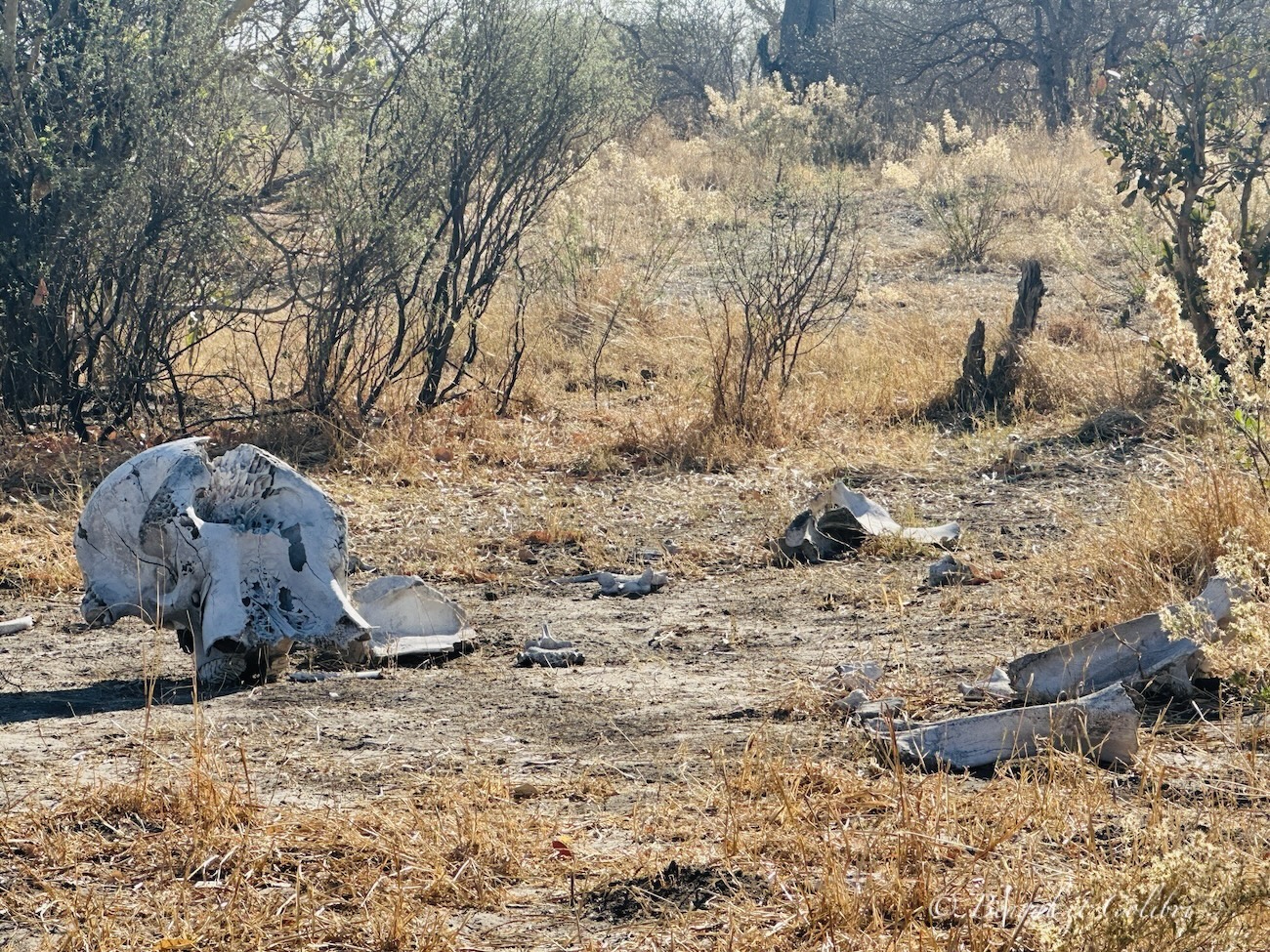 Botswana