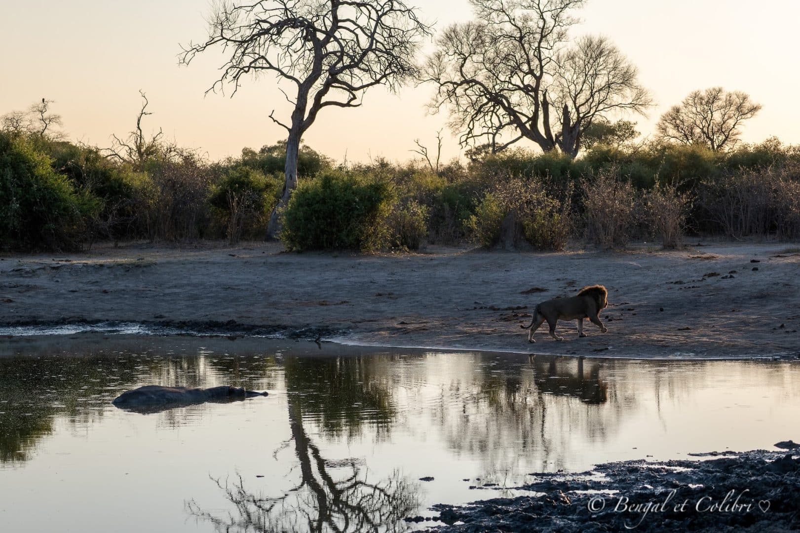 Botswana