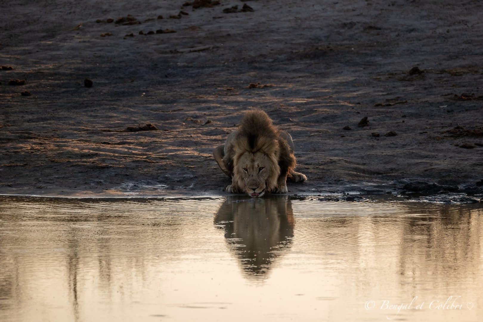 Botswana