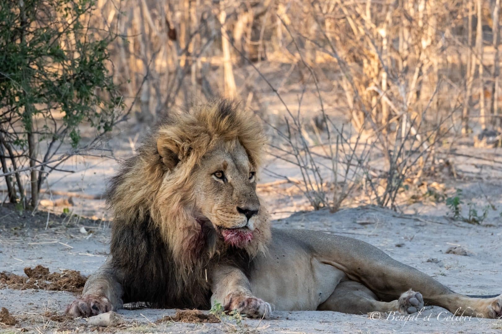 Botswana