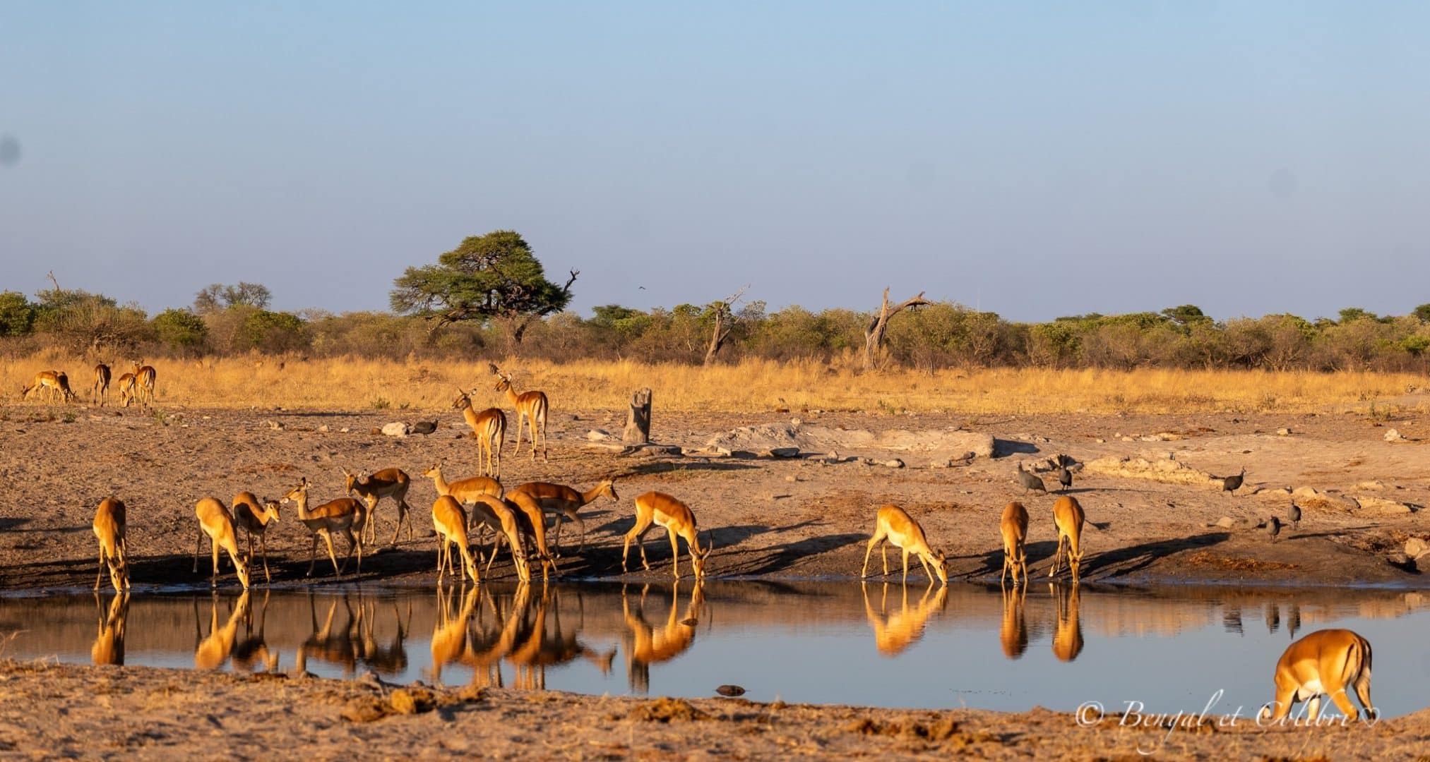 Botswana