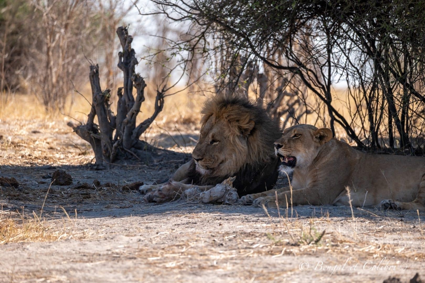 Botswana