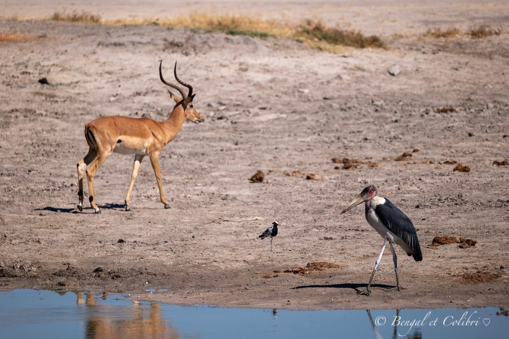 Botswana