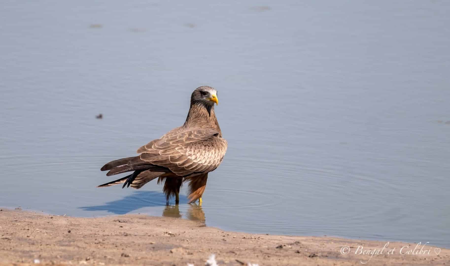 Botswana