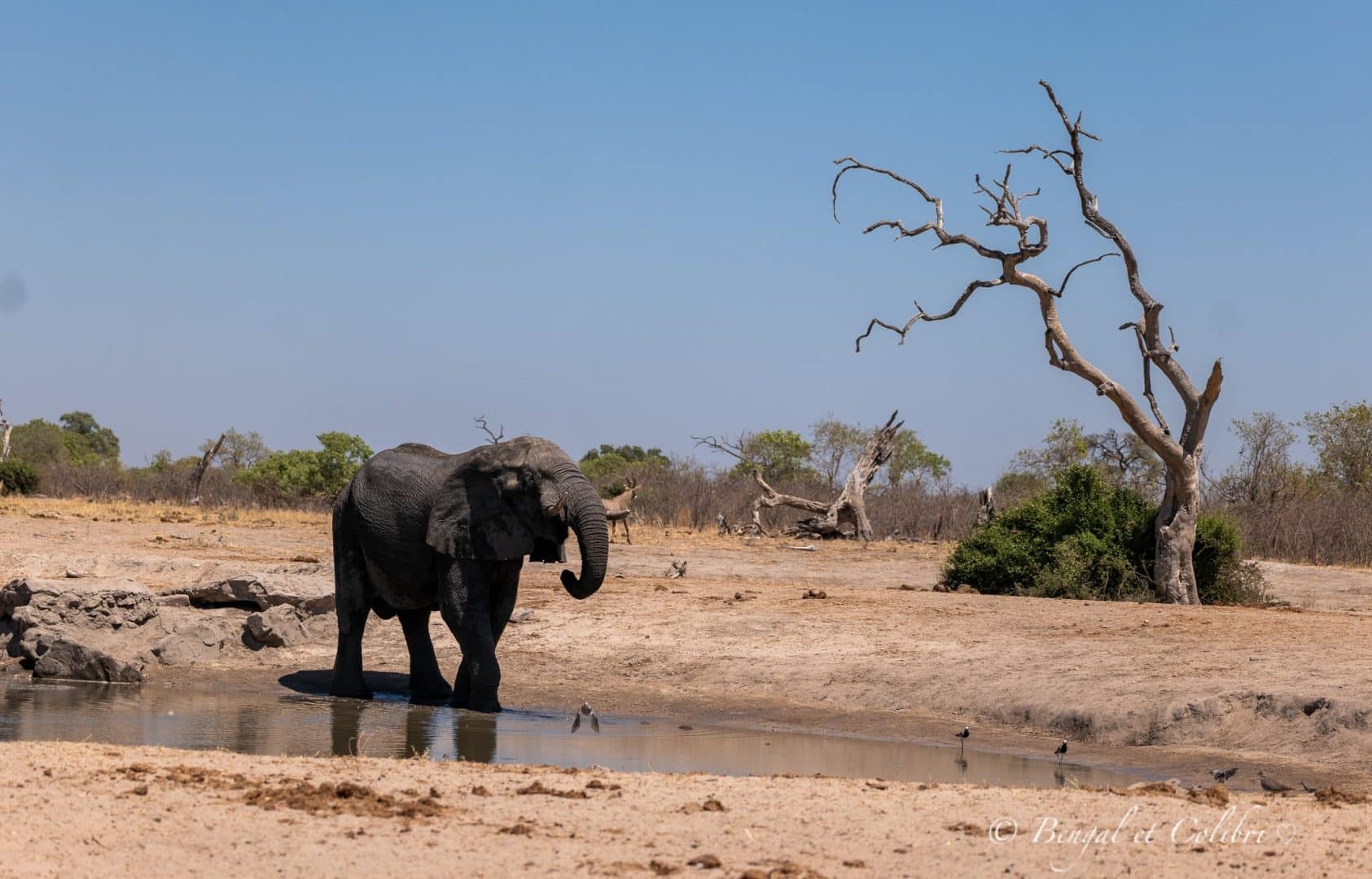 Botswana