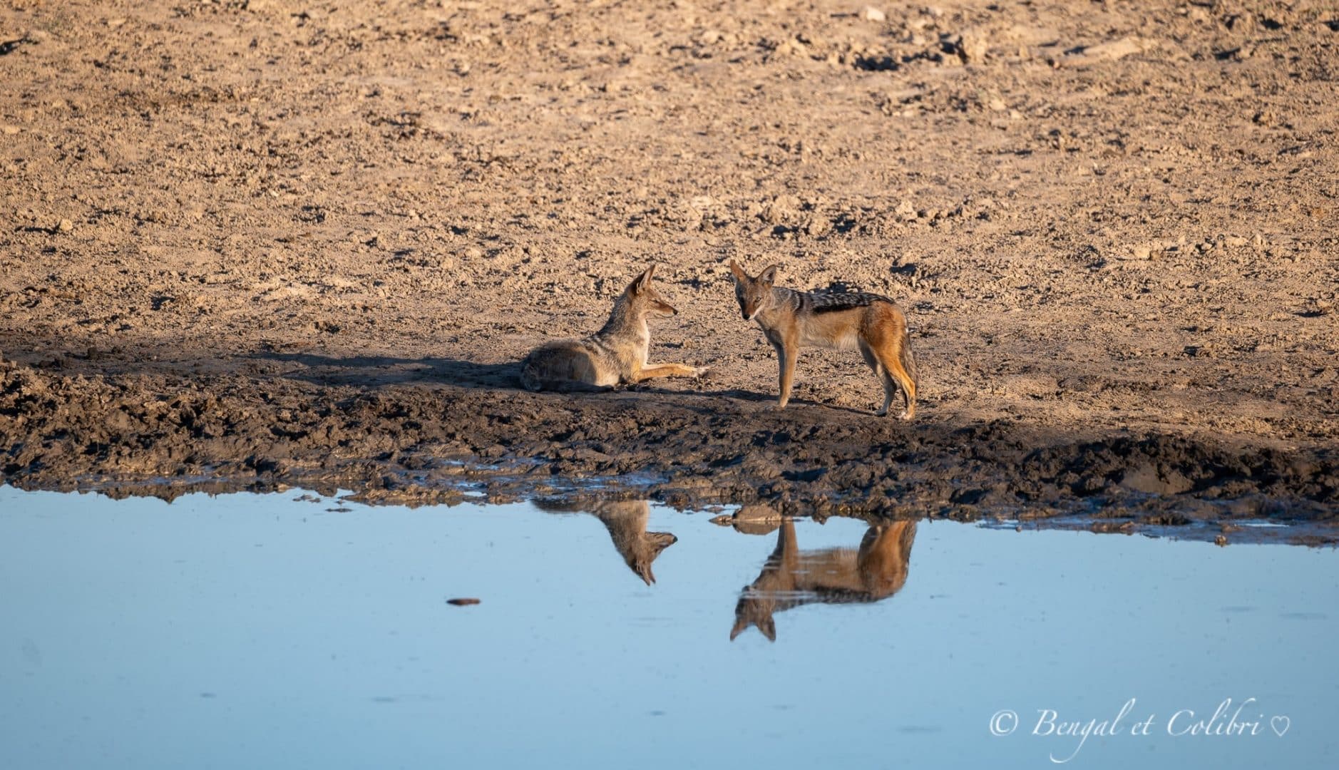 Botswana