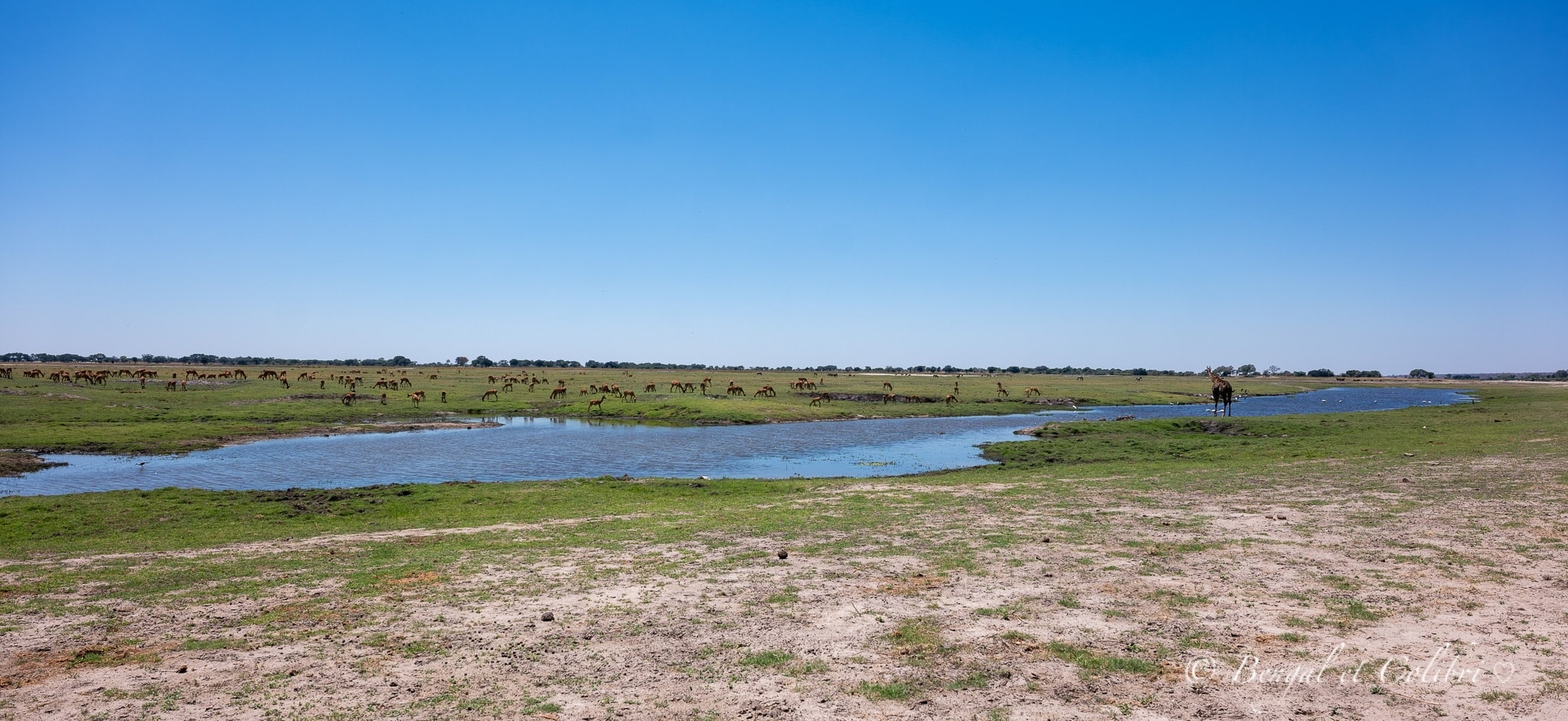 Botswana