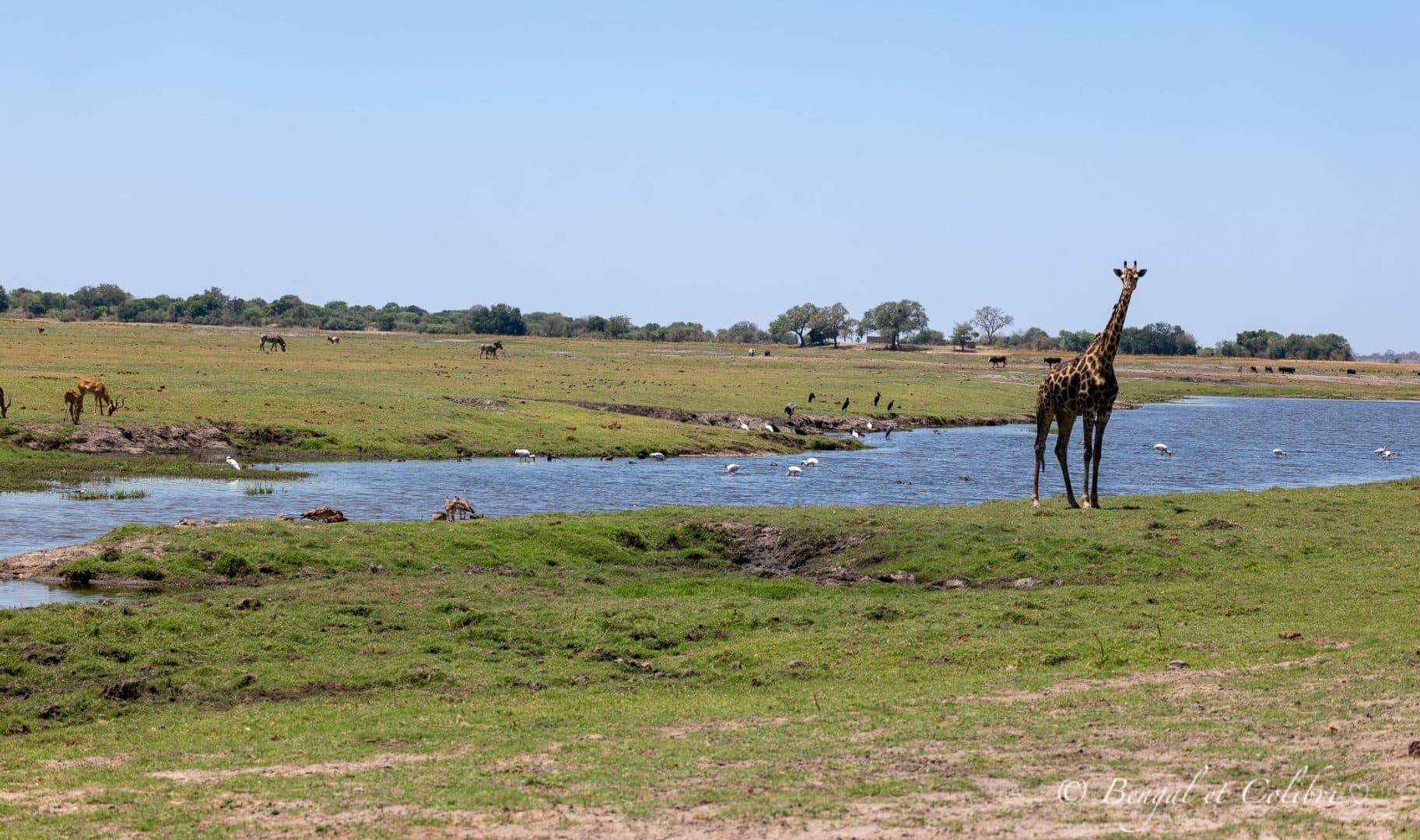 Botswana
