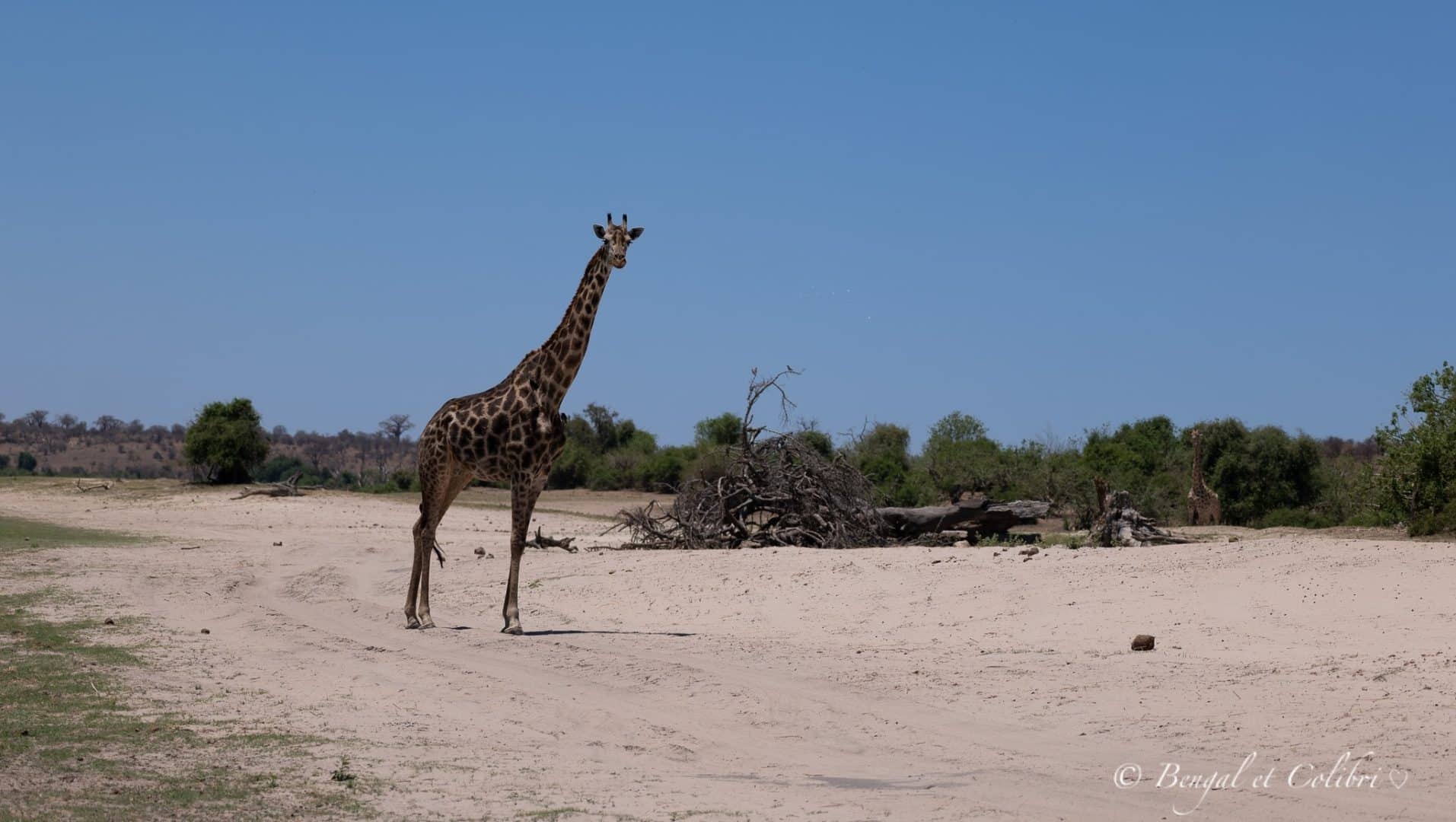 Botswana
