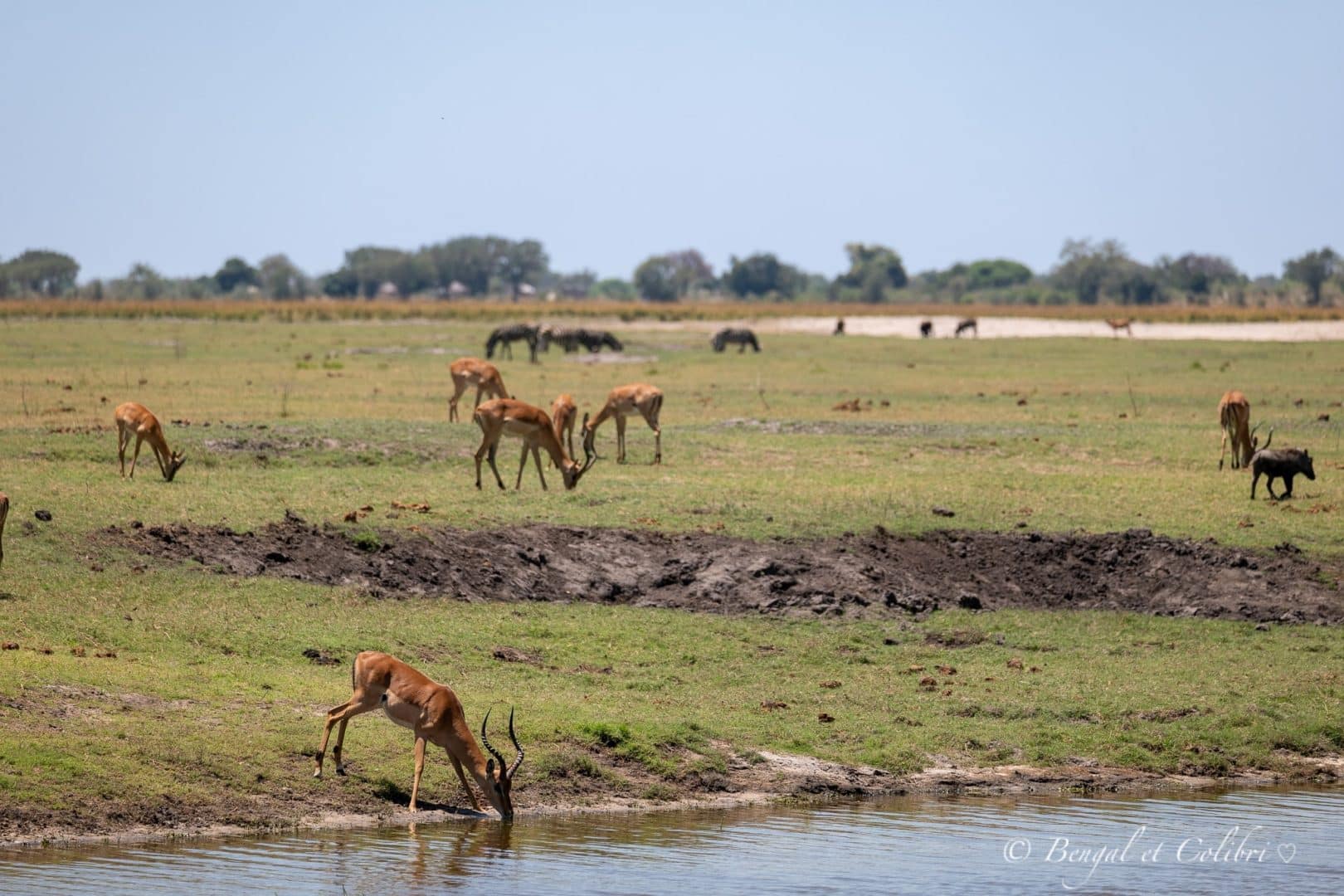 Botswana