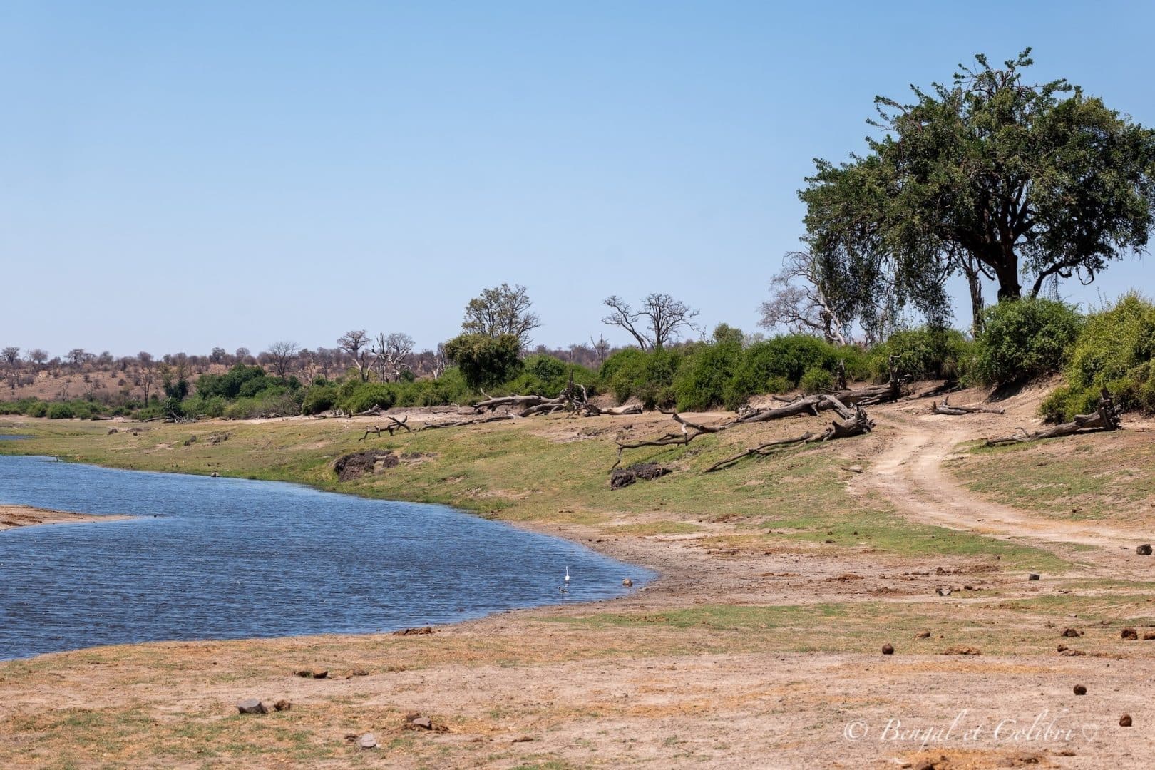 Botswana