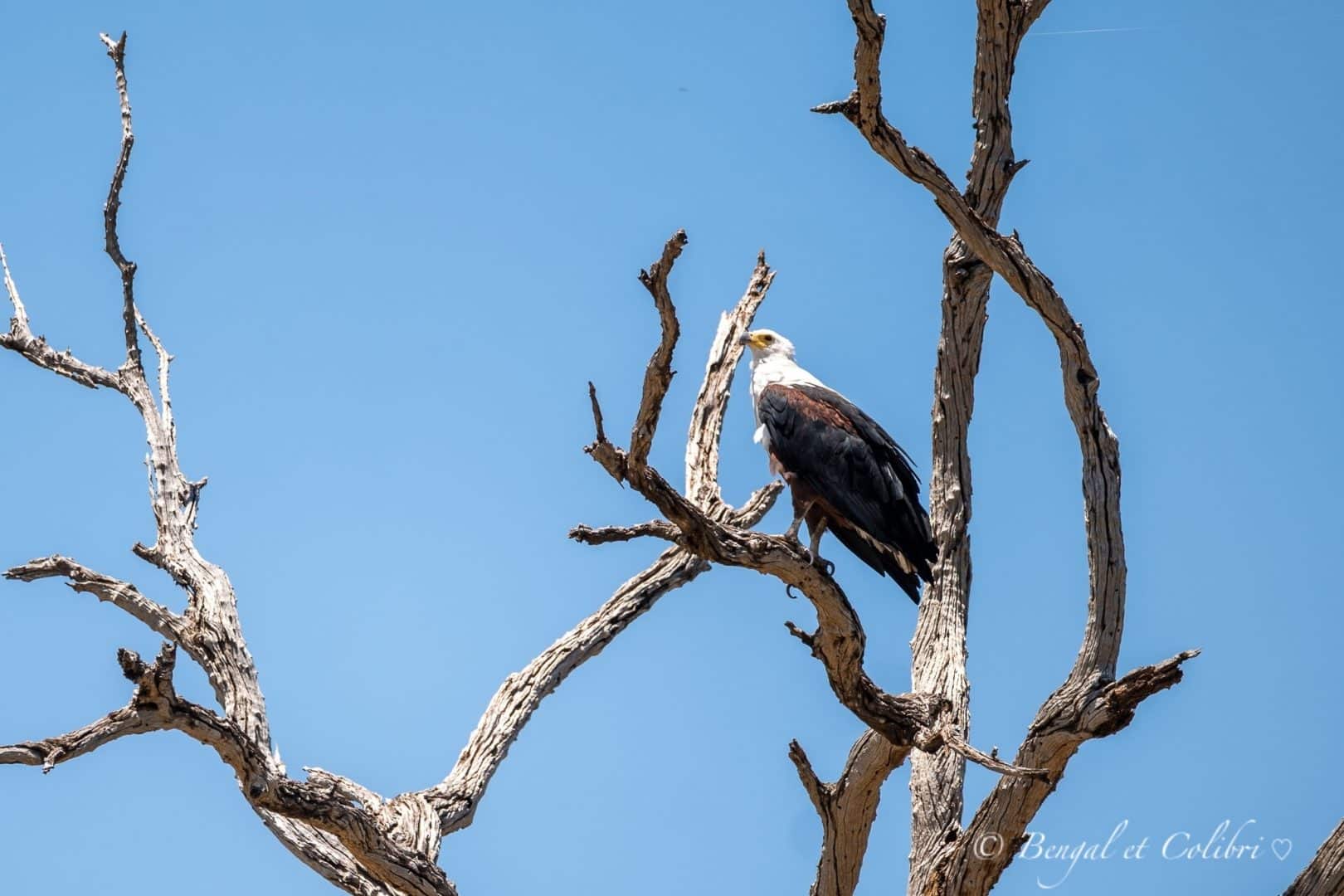 Botswana