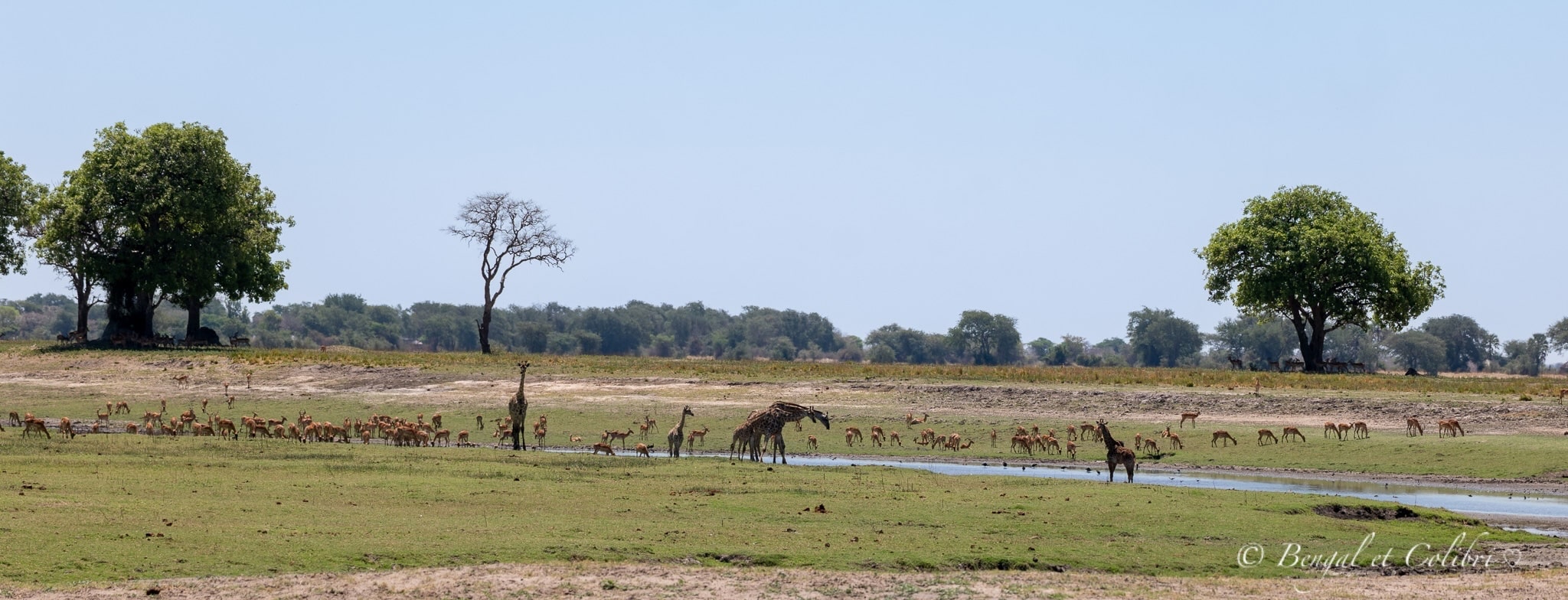 Botswana