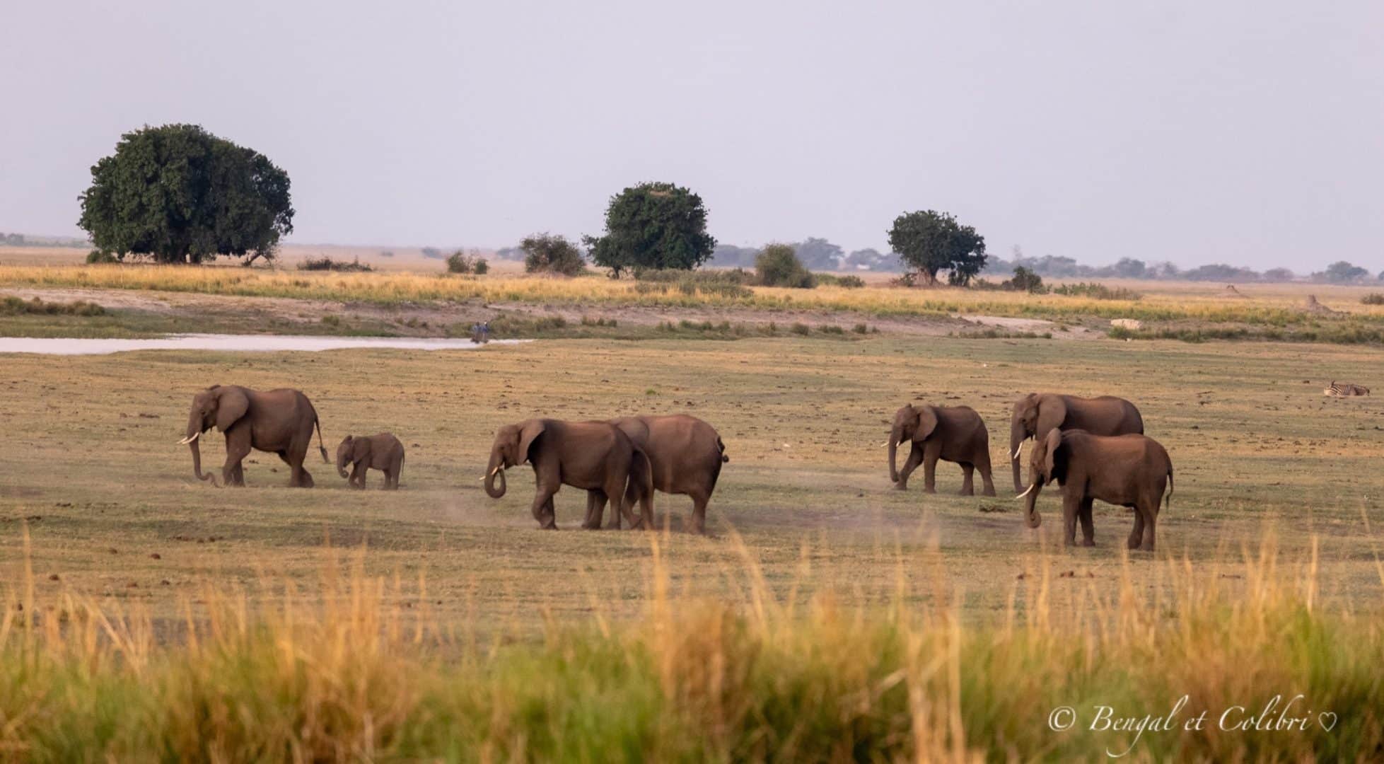 Botswana
