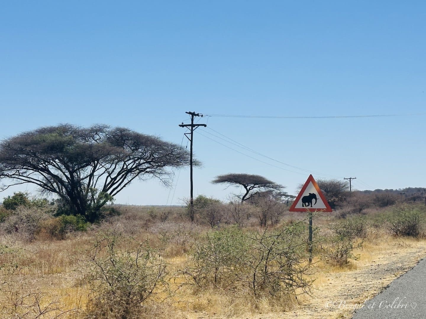 Botswana